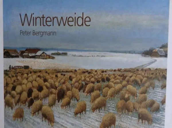  Bergmann, Winterweide