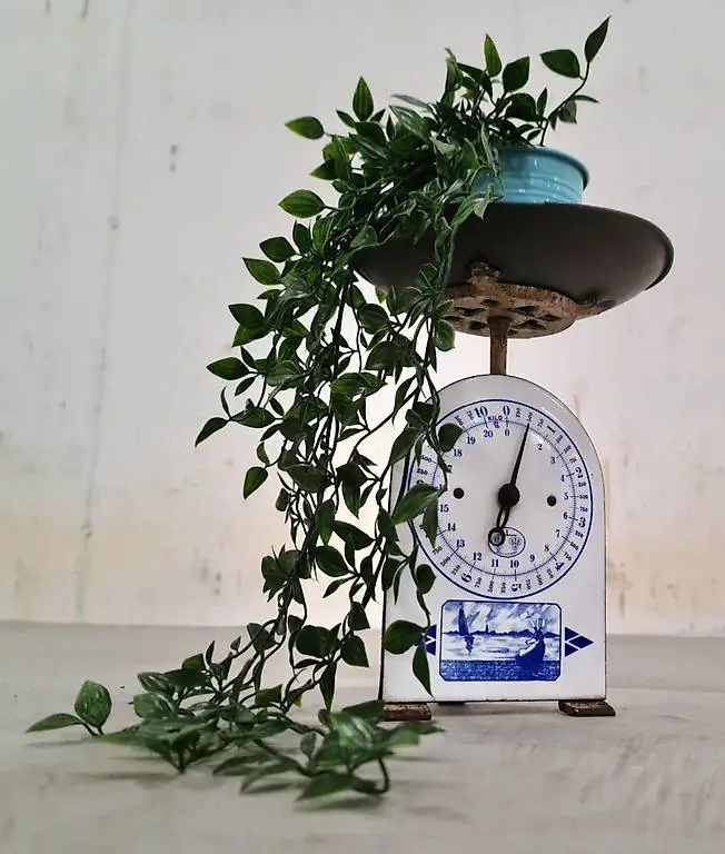 Antike Küchenwaage %HIT% *Felice_Felix* %SALE%