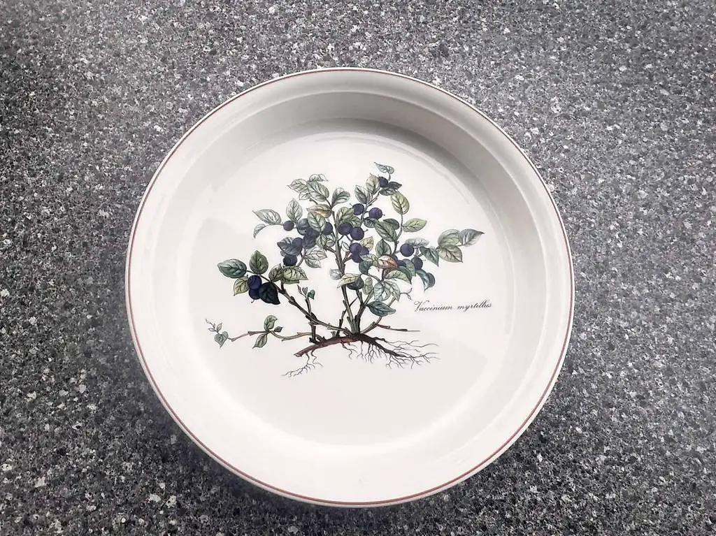 Villeroy & Boch V&B Botanica Plate Kochgeschirr