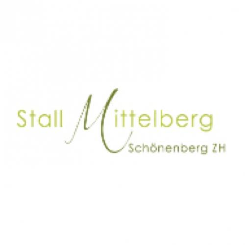 Stall Mittelberg