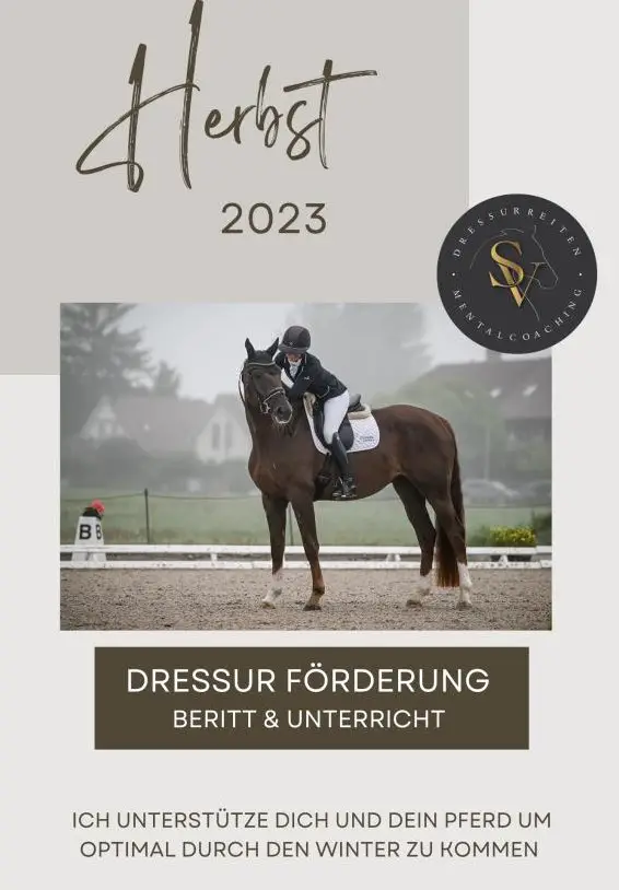 Pferde Aus- und Weiterbildung