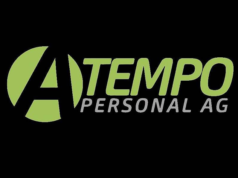 Lüftungsmonteur in Thun