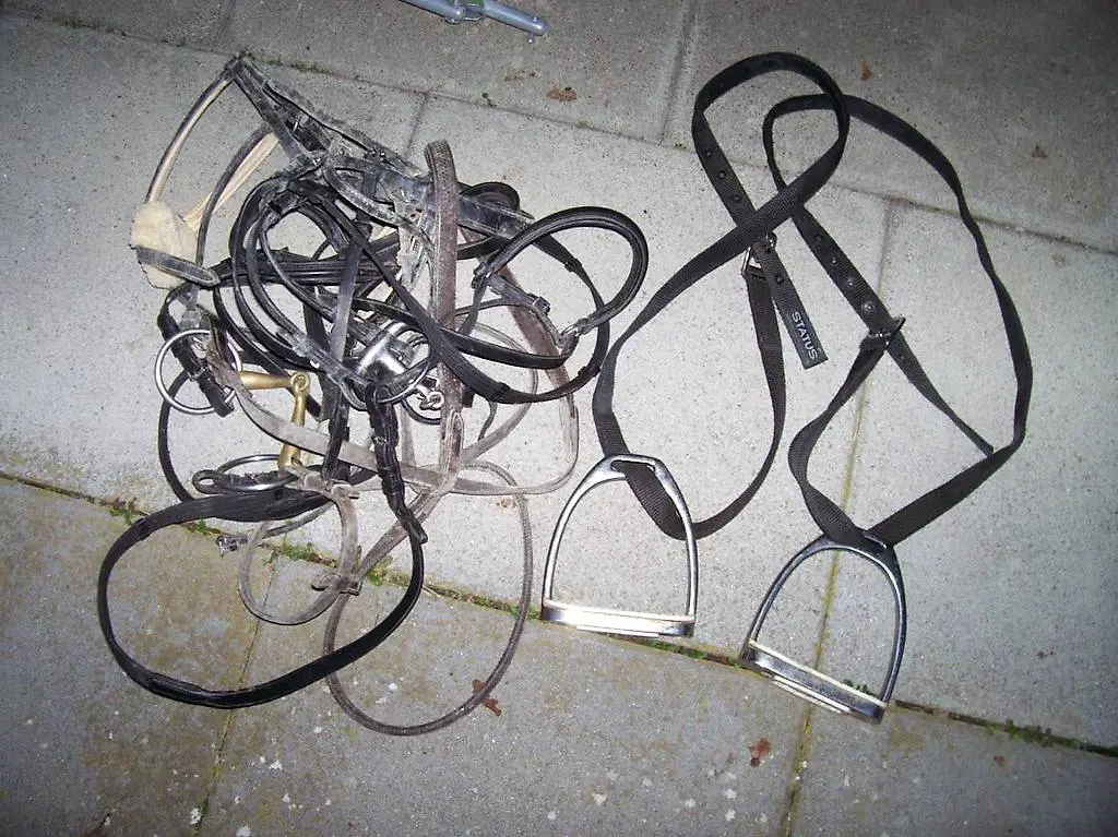 4x Reithelm 3x Motorradhelm, Zaumzeug, Helmtasche, Topcase