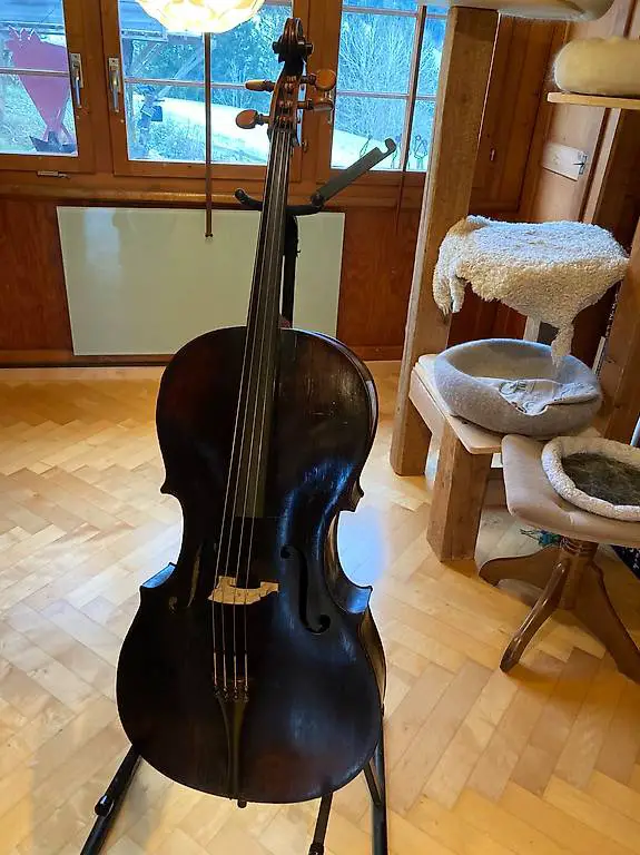 Cello, 18. Jahrhundert