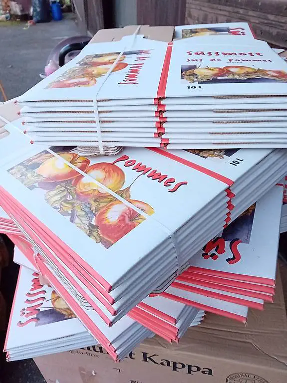 Bag-in-Box Karton 10L 50 Stück