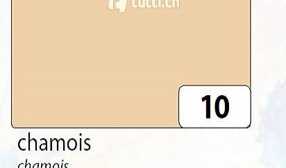 Folia Tonkarton A4 220g Chamois