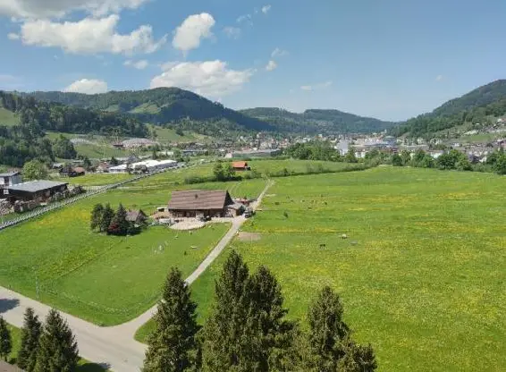 Pferde Altersweiden zu vergeben im Toggenburg
