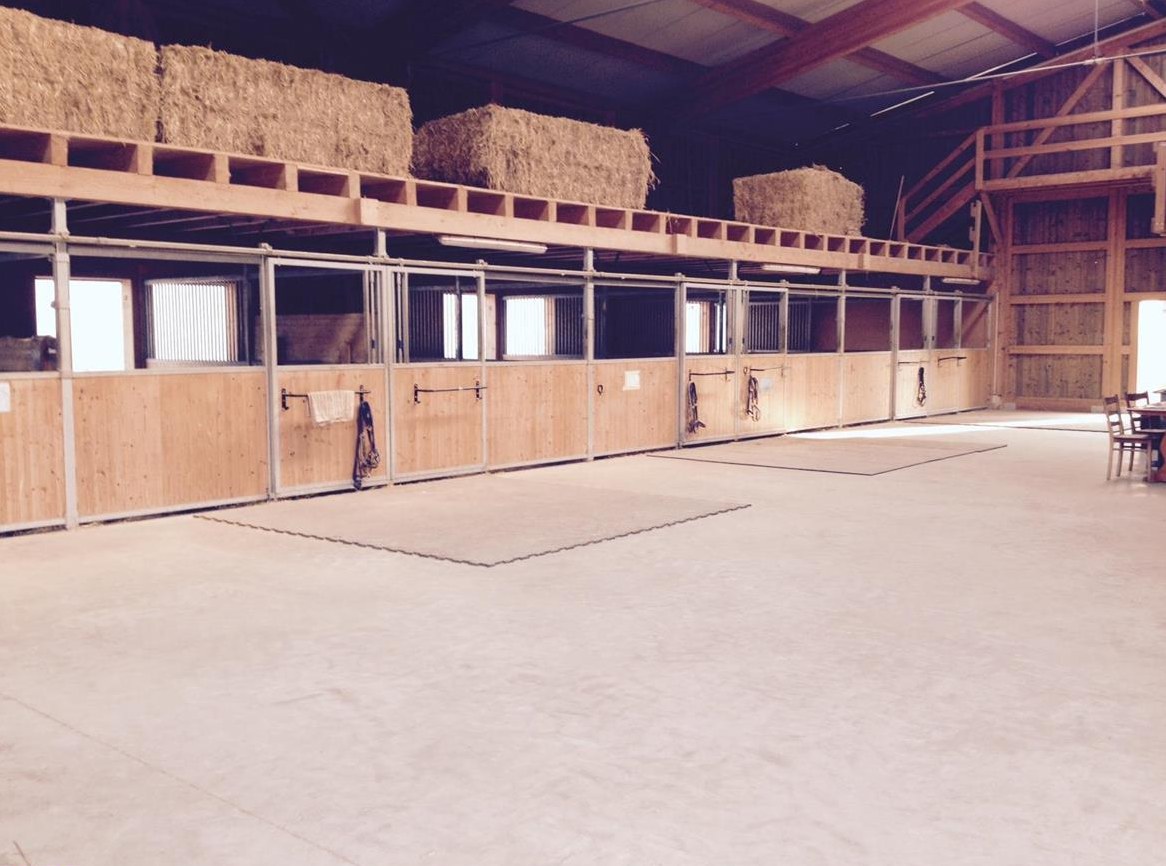 Pferdeboxen frei für Selbstversorger/in, Unterlunkhofen AG