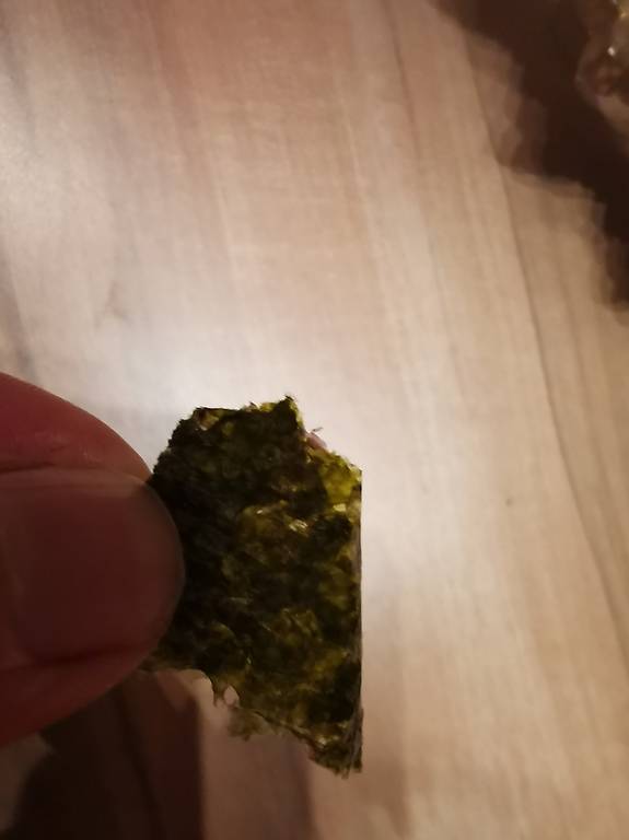 Algen /Seetabgblätter mehrere Meter, oder ab 1 Meter