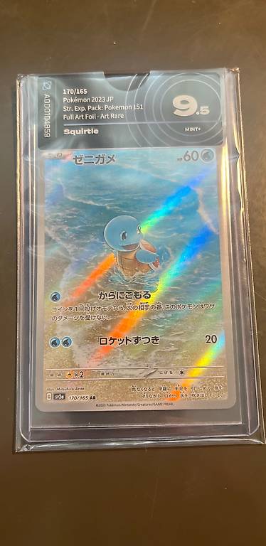 Squirtle gradato 9.5