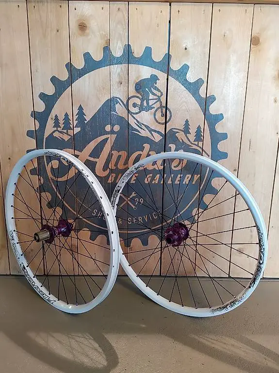 NEUER Laufradsatz Alexrims/Reverse