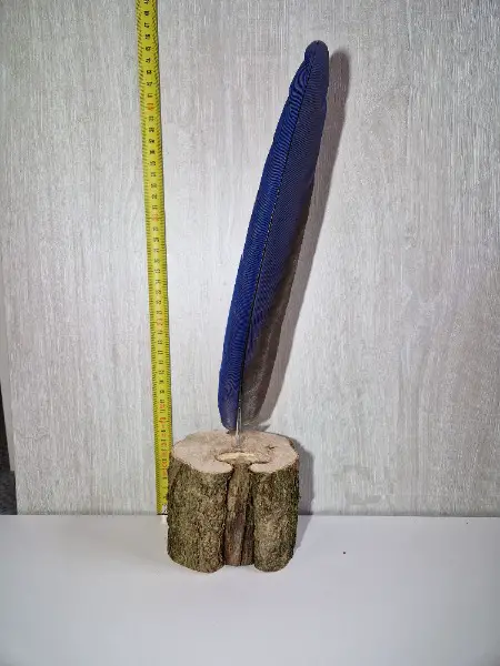 Rarität: Hyazinthara Schwanzfeder Holzsockel