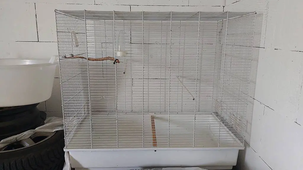 Gabbia grande per uccelli