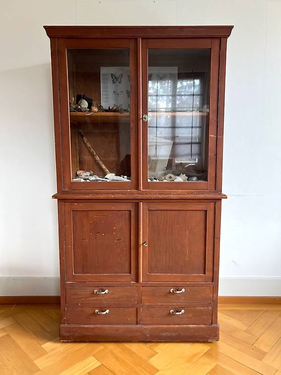 Antiker Vitrinenschrank, Holz, mit Glastüren