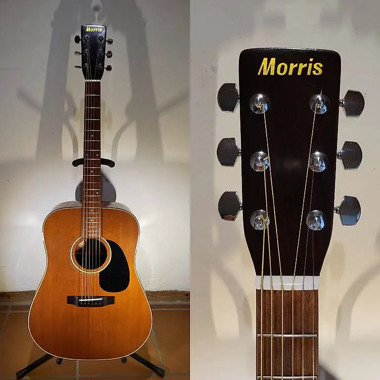 Western Gitarre Morris WT-19