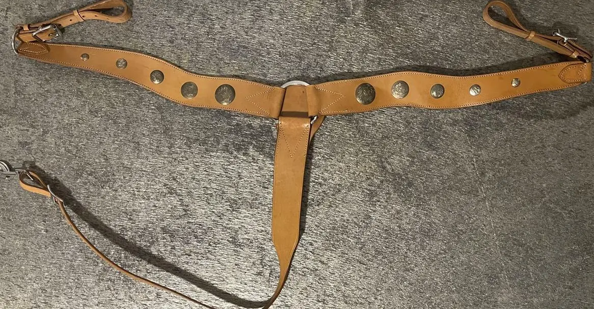 NEUES Western Vorderzeug für Kaltblüter