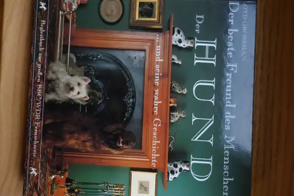 Der beste Freund des Menschen - Der Hund von Loyd Grossman.