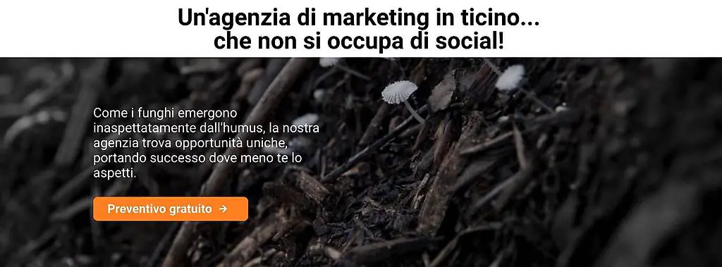 Bisogno di decollare con il tuo business o partire da 0?