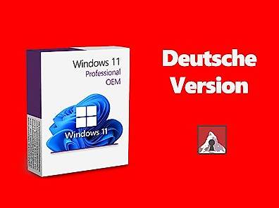 Windows 11 Professional OEM