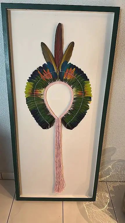 Ein Indigenes Kopfschmuck aus Federn - Brasilien
