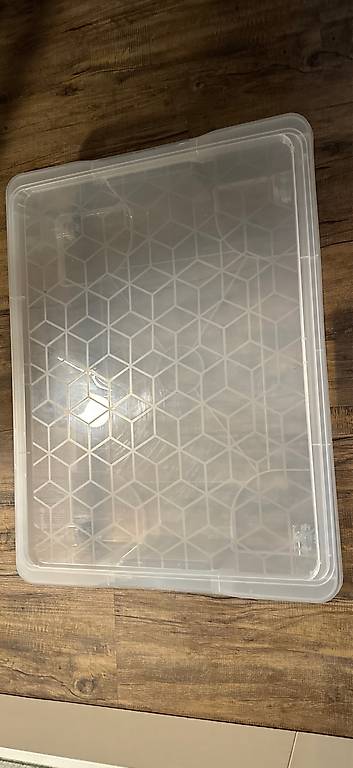 Rotho Plastickbox 50 Lt