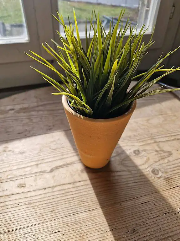 Kunstpflanze Gras im Topf Deko SF