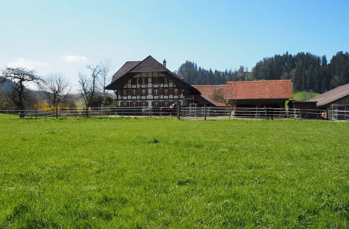Suchen Landwirt/In, Pferdepfleger/In auf landwirtschaftlichen Betrieb