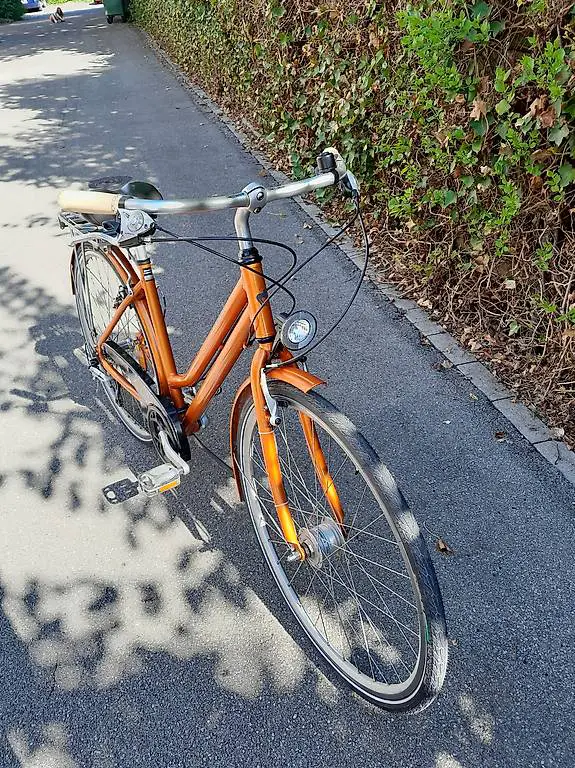 Damen Velo Cresta Arena City Ville frisch ab Service