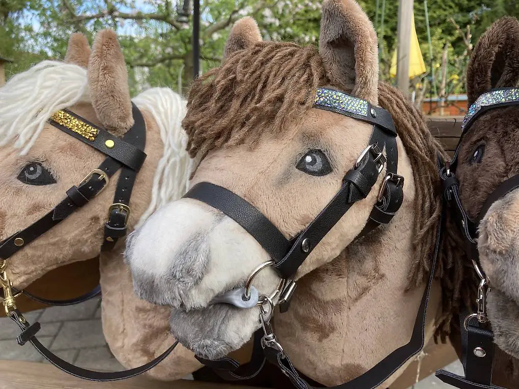 Hobby Horse Leiknir