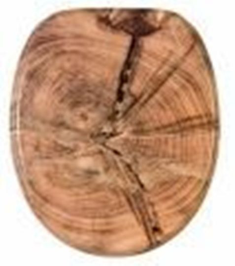 WC-Sitz mit Absenkautomatik-Old Tree