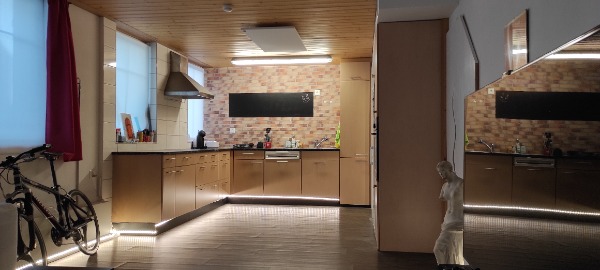 hübsche helle 1,5 Zimmer Loft im EG