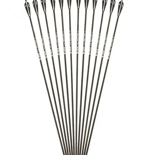  12 Pfeile aus Carbon für Pfeilbogen
