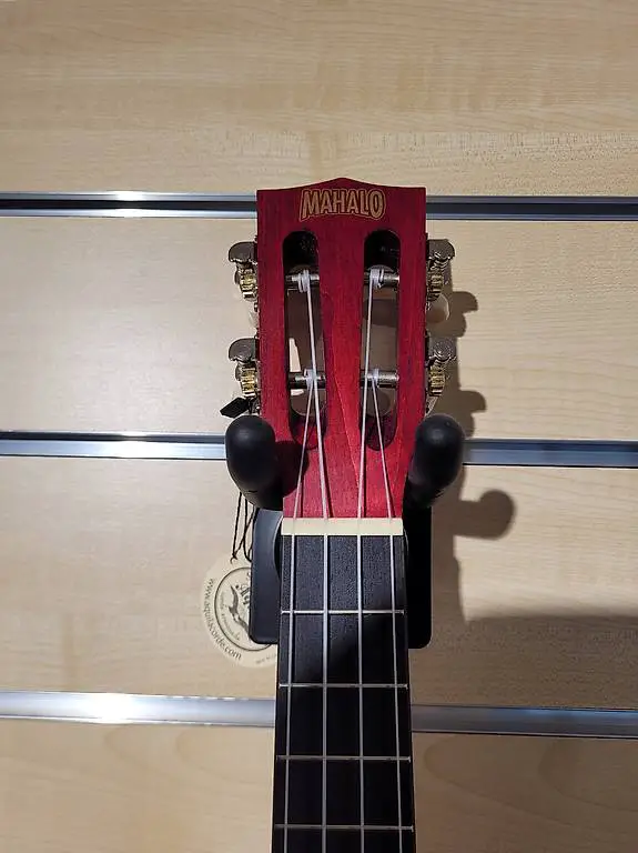 Konzert Ukulele