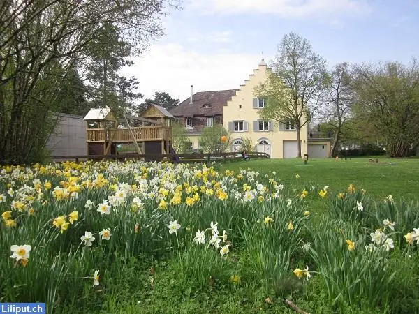 KITA Pumpenhaus in Schaffhausen bietet Miterzieherin Stelle (FaBe)
