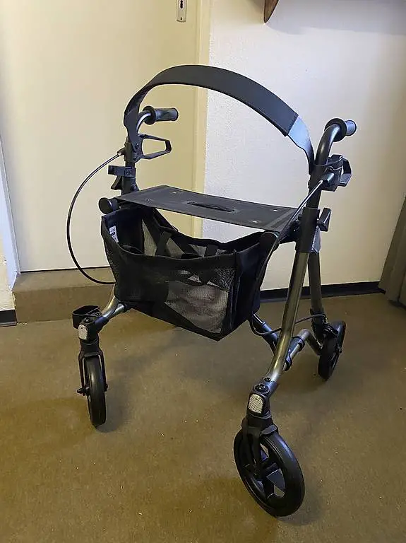 Rollators deambulatore Dietz Rehab GT