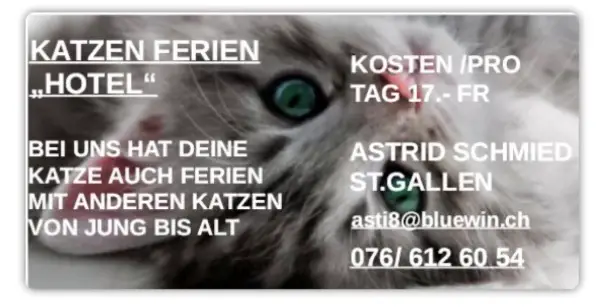 Katzen Ferien „Hotel“