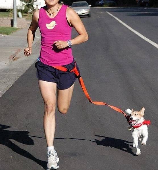Portofrei Blau Hunde Leine Jogging Bauchgurt