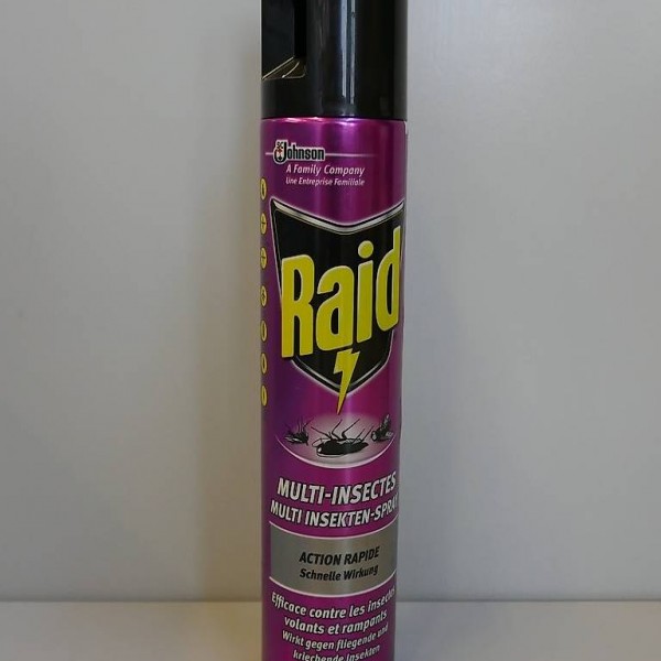  Raid Multi Insekten Spray