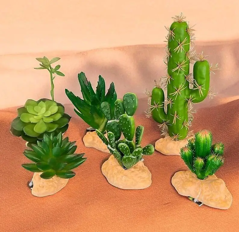 Wüstenpflanzen künstlich