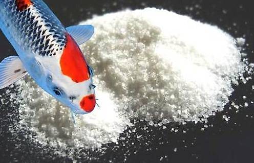 Vitalsalz - Teichsalz 25kg