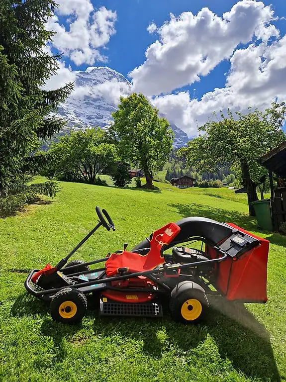 Aufsitzmäher Cart in gutem Zustand