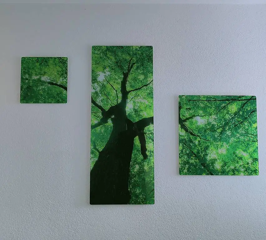 Wandbild aus Acrylglas