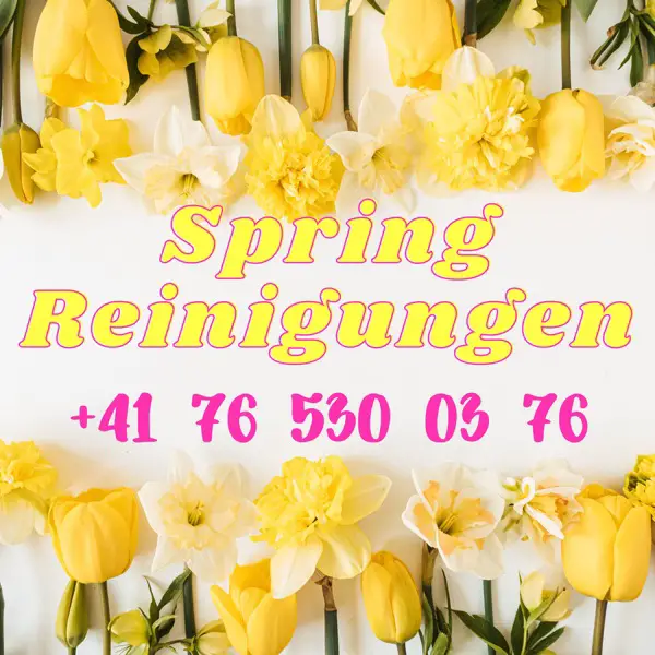 Frühjahrsputz, Spring Reinigungen in Zürich