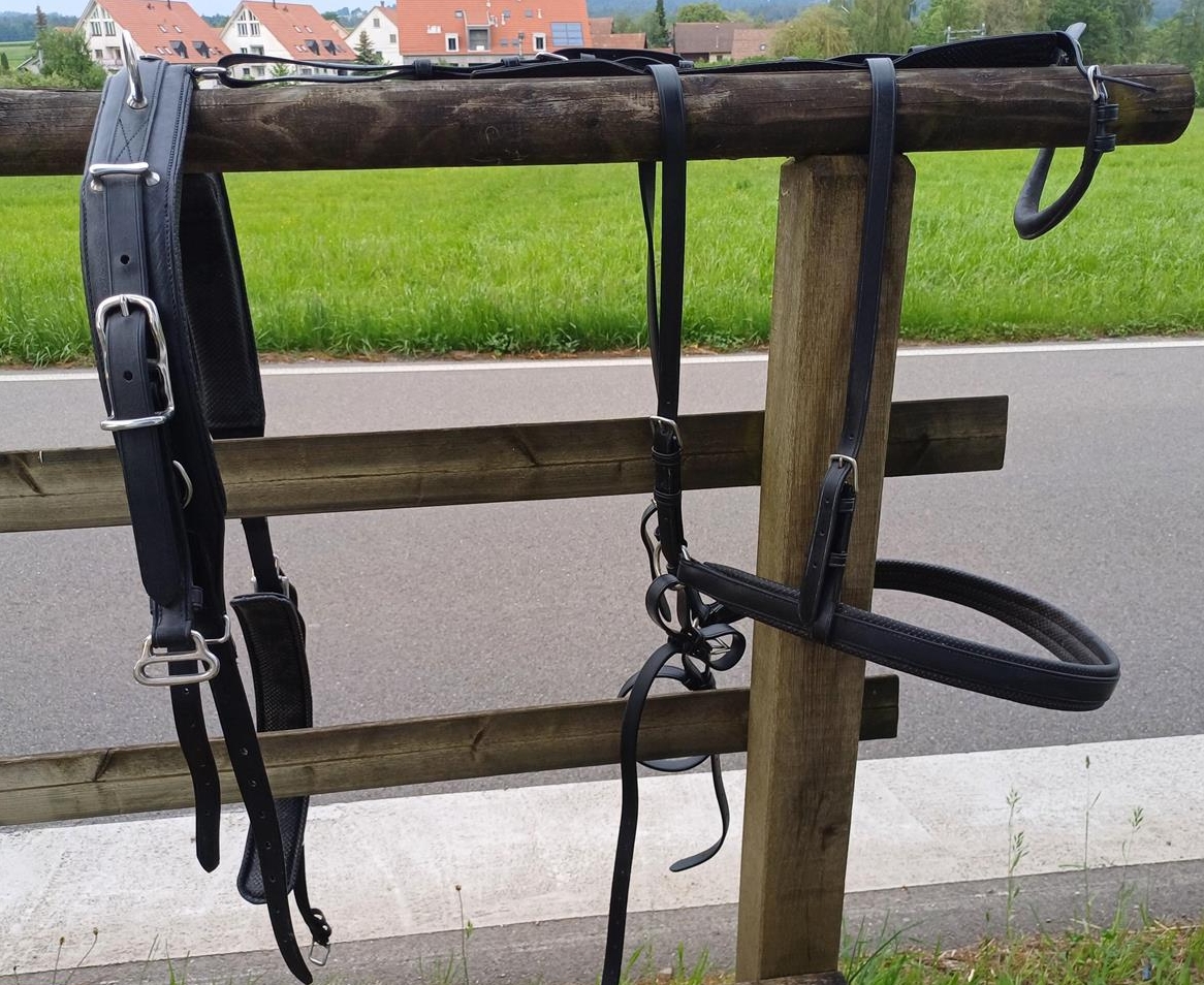 Einspännergeschirr Kaltblut zu verkaufen