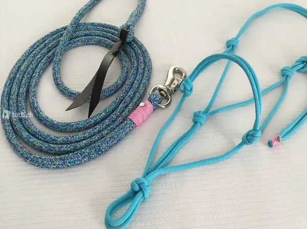  Pferde-Strick / Bodenarbeitsseil und Knotenhalfter 6mm (NEU)