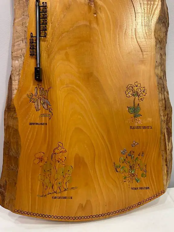 Rindenbrett mit Temperatur Massstab