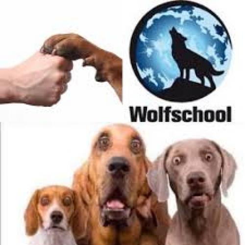 Hundeschule Wolfschool