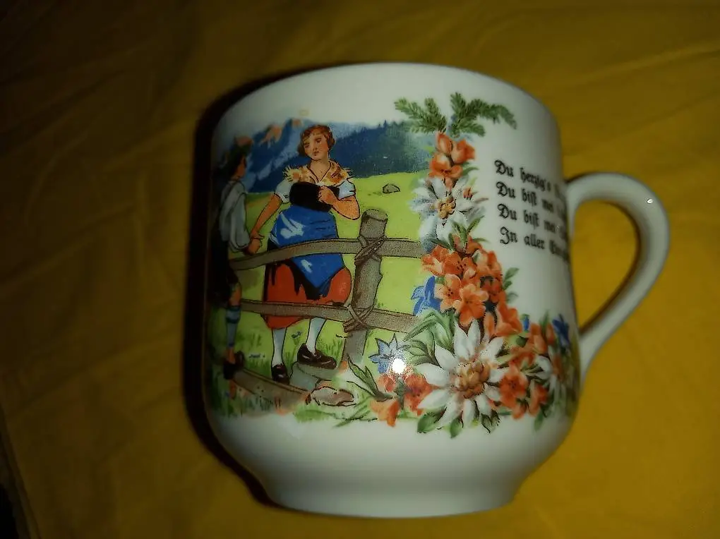 Seltmann Weiden Bavaria Sammlertasse