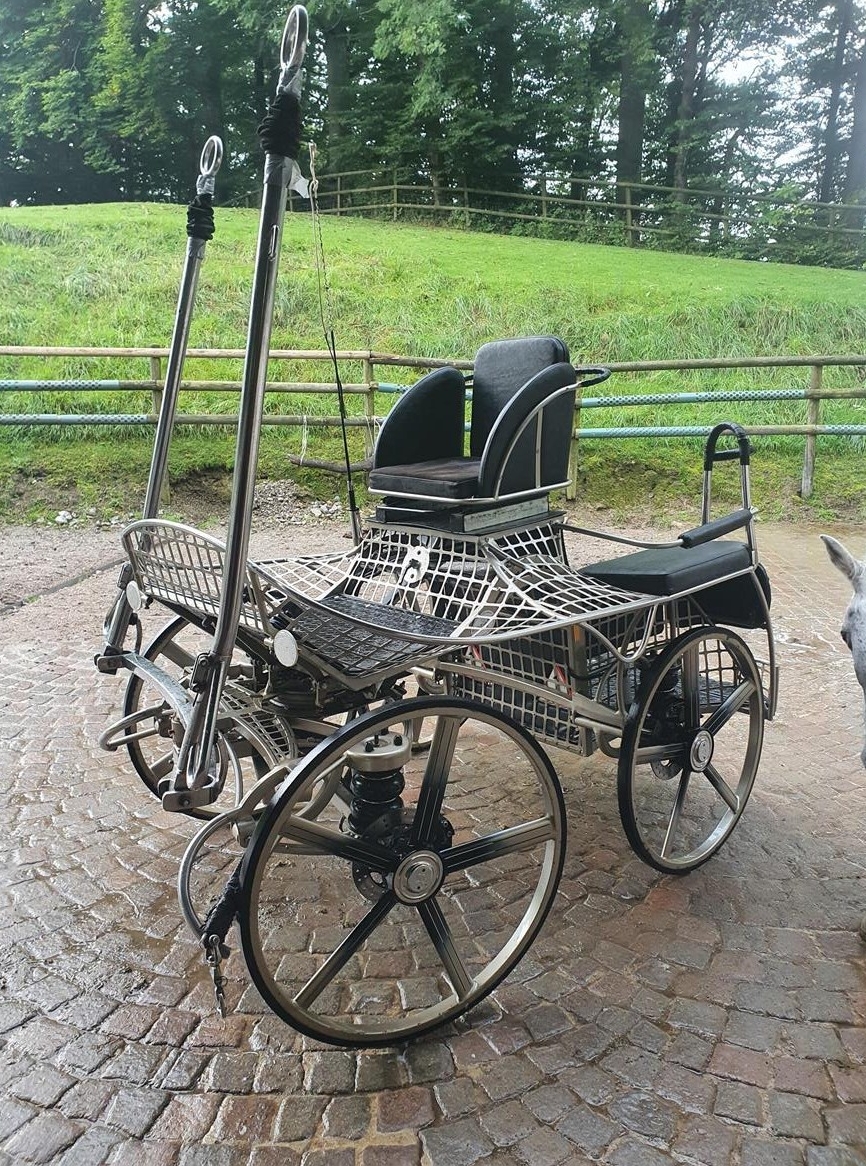 Kutsche/Marathonwagen von Kutschen Kurmann