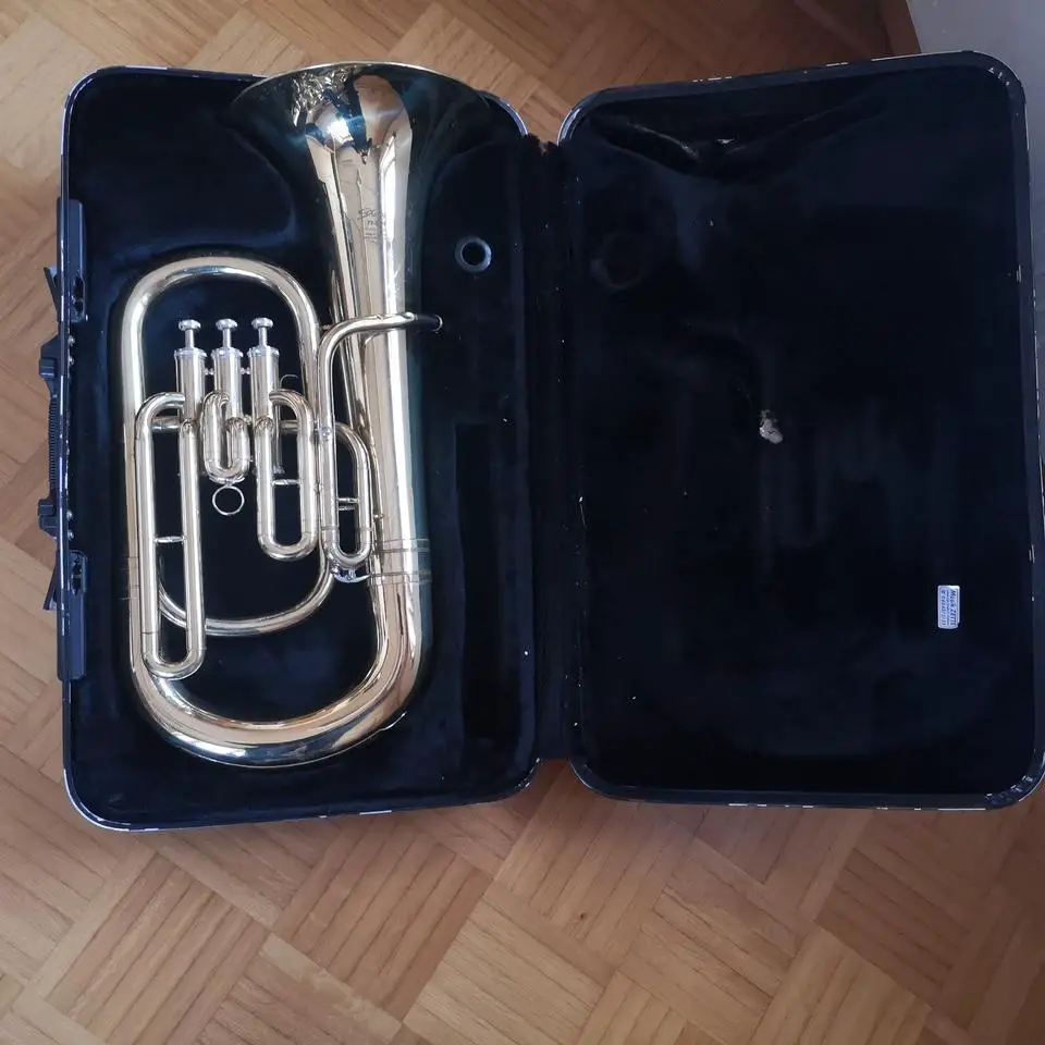 Stagg Euphonium